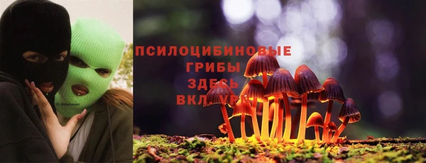 спайс Пересвет
