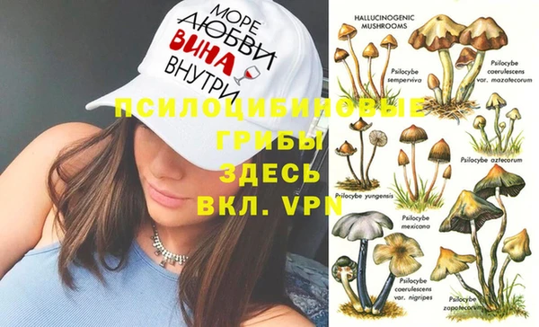 ECSTASY Пестово