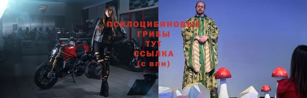 спайс Пересвет